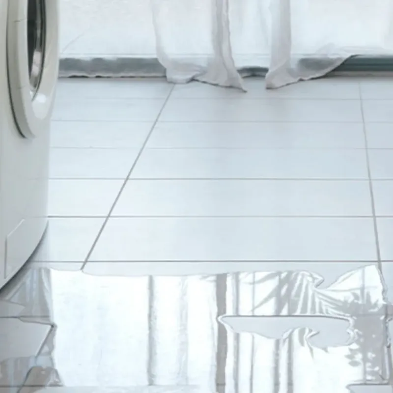 Appliance Leak Cleanup in Bellevue, WA